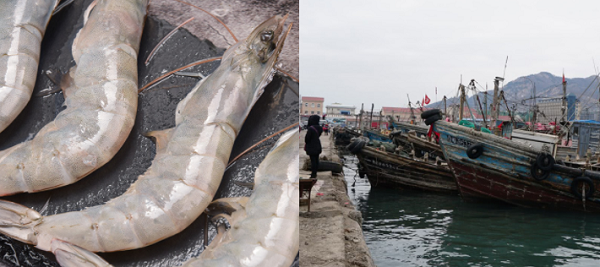 建造一個(gè)海鮮冷庫(kù)多少錢(qián)？